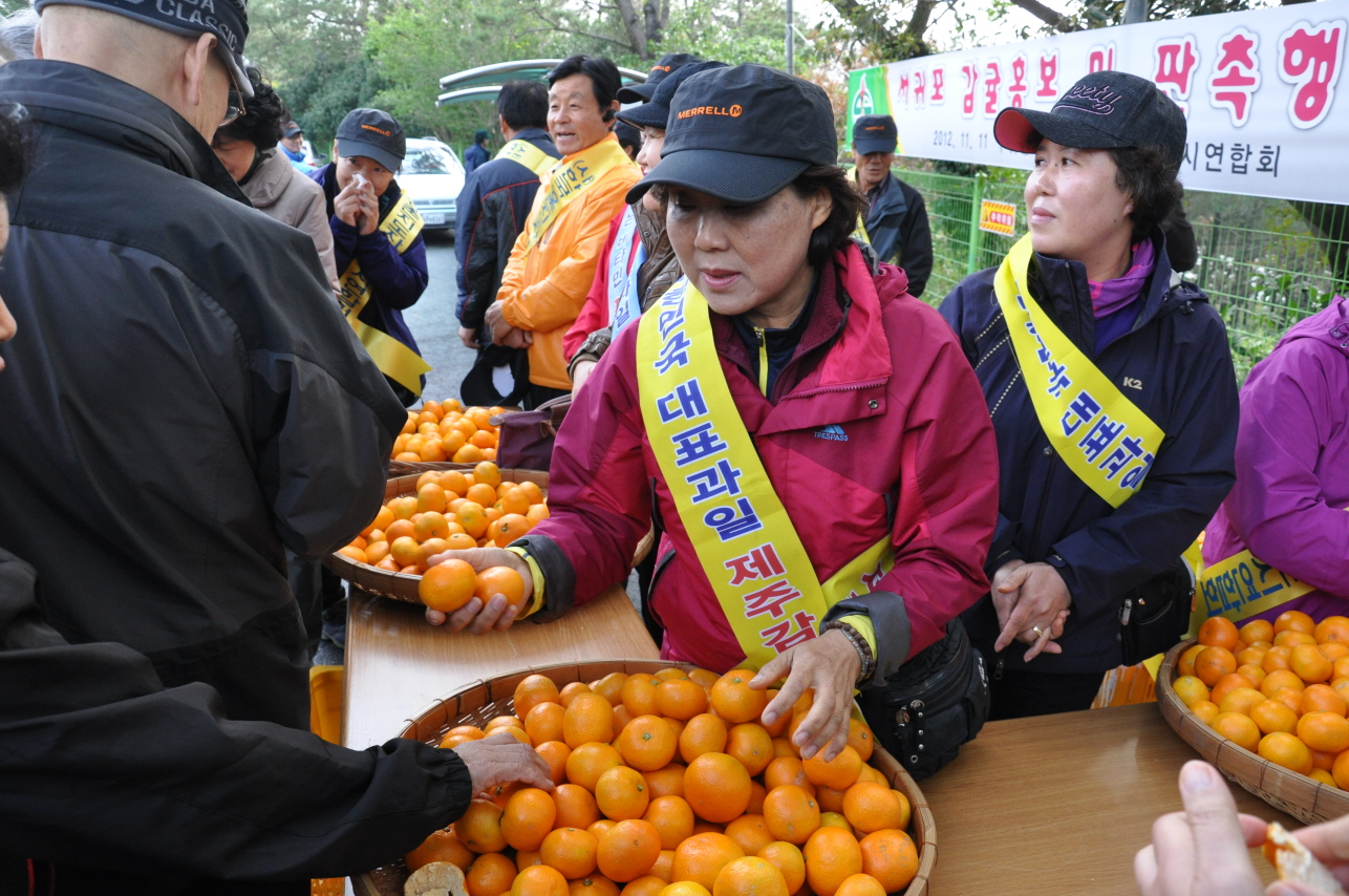 감귤 무료시식 및 판촉 홍보행사